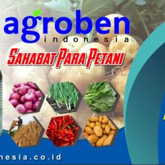 agroben G14 & K14